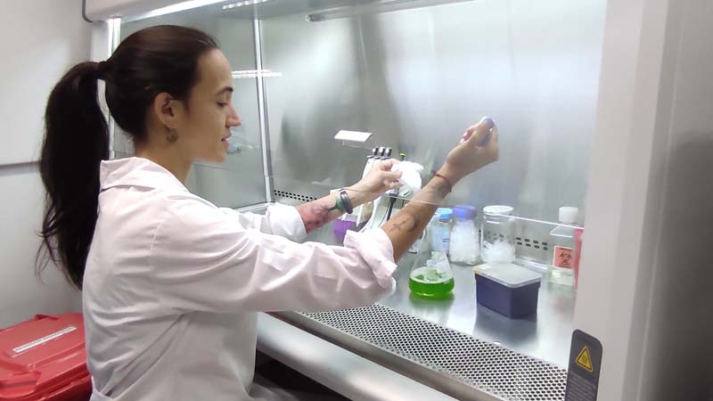 Innovación sostenible: tratamiento de aguas residuales con microalgas