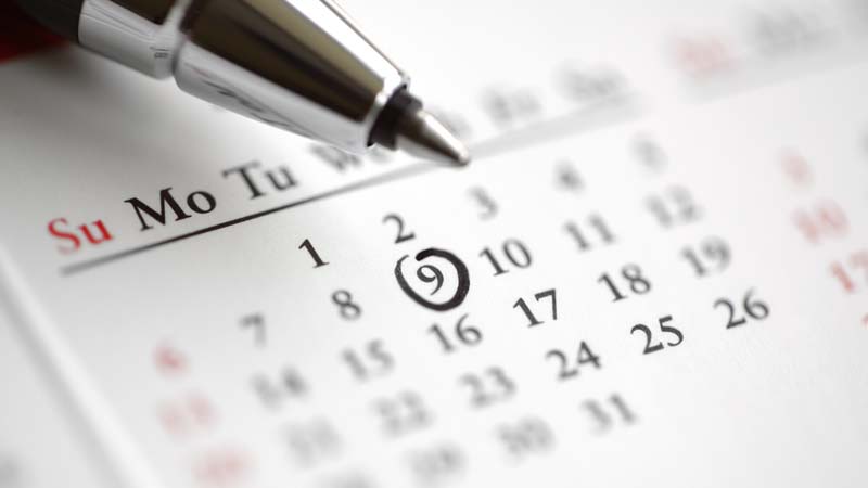 Curso Biotecnología de microorganismos y biología sintética 