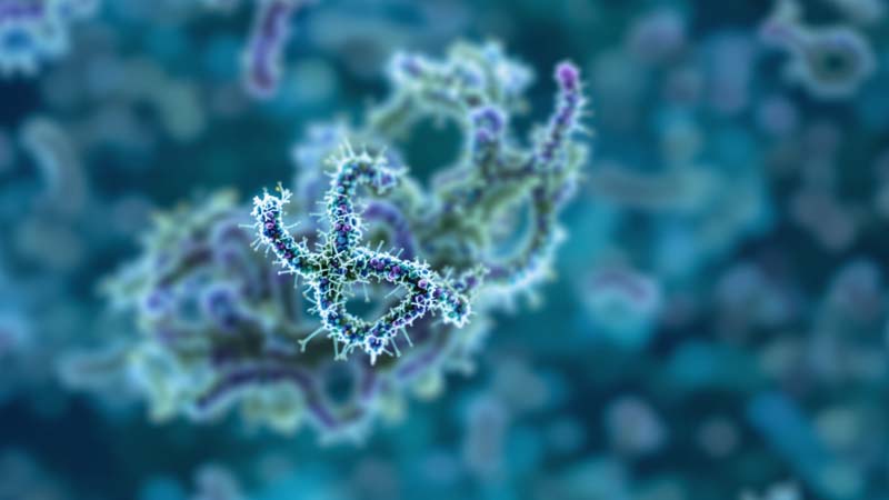 Curso Biotecnología de microorganismos y biología sintética