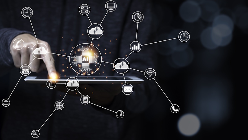 Analista programador