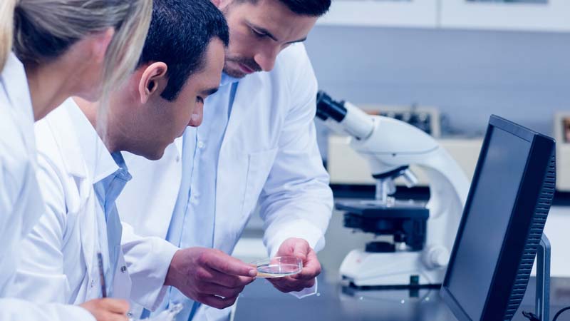 Concurso Bioinformática