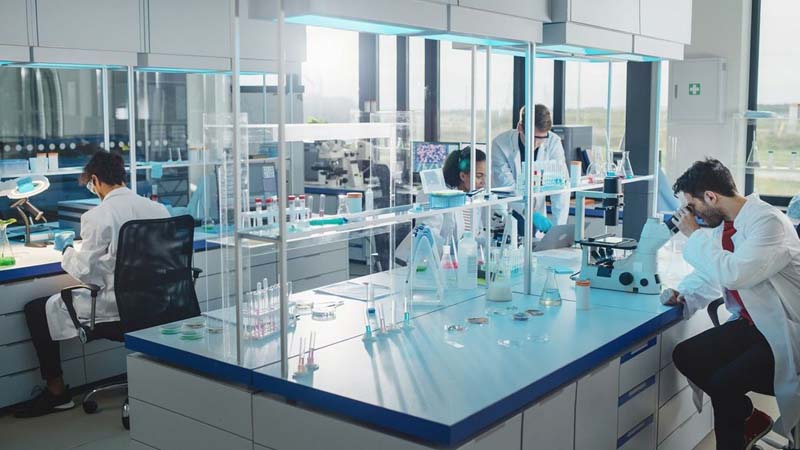 Concurso Bioinformática