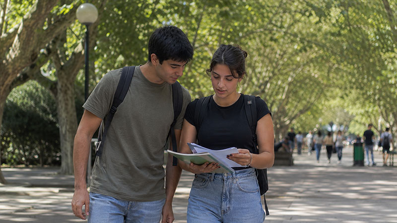 Consejería estudiantil
