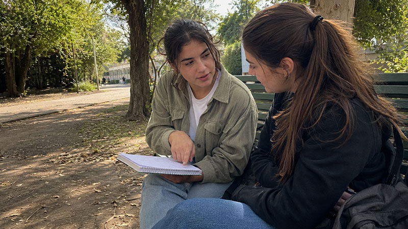 Programa de Mentorías