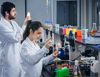 Biotecnología: un momento de consolidación Biotecnología: un momento de consolidación